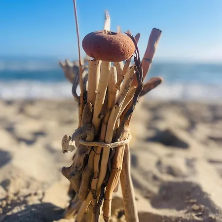 Dali Art * אלגהרו