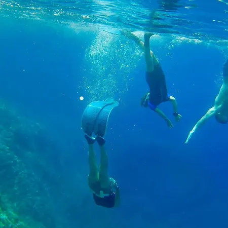 Lägenhet Dali Art *