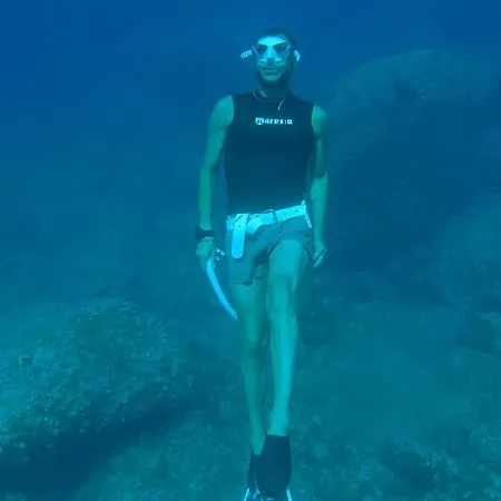 Dali Art * אלגהרו