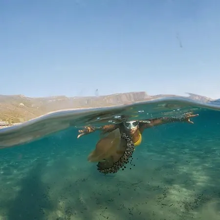 Lägenhet Dali Art *