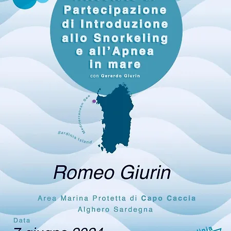 Dali Art דירה אלגהרו