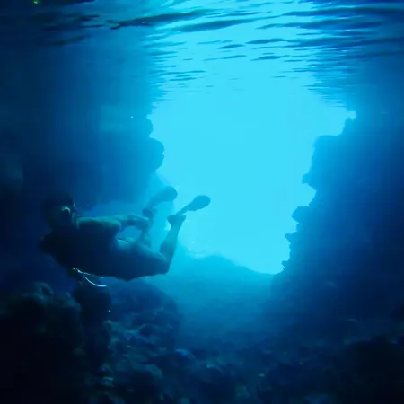 Lägenhet Dali Art *